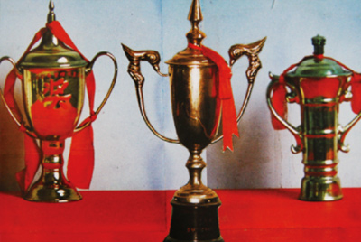 1985年糖果派对官网先后获得了年度局级一等节能先进企业、、、山东省装备治理优异单位、、、山东省机械工业系统节能先进单位等殊荣。。